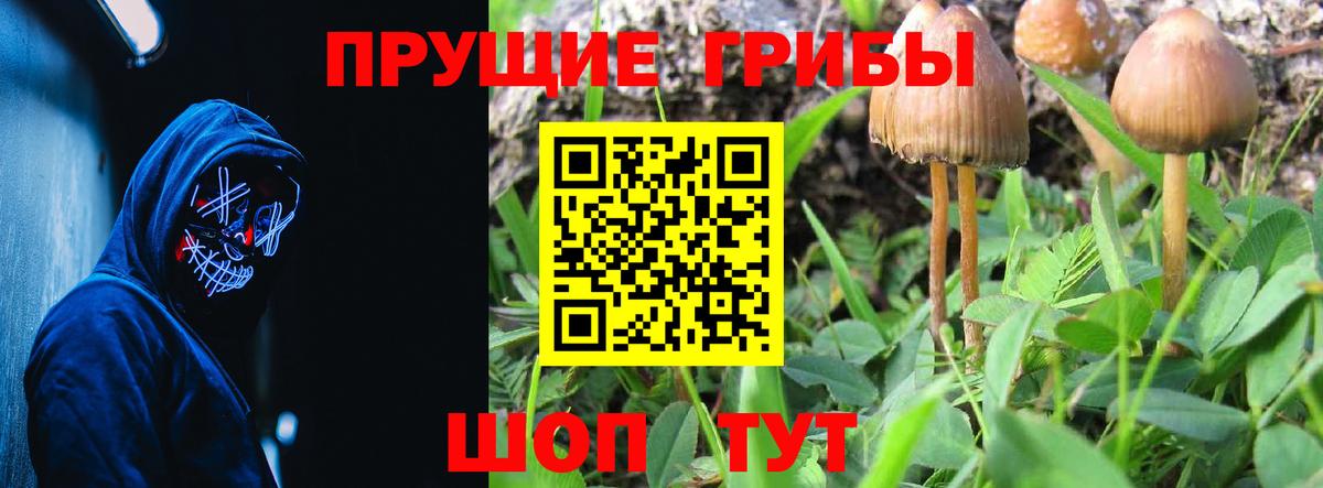 Псилоцибиновые грибы мухоморы Тосно